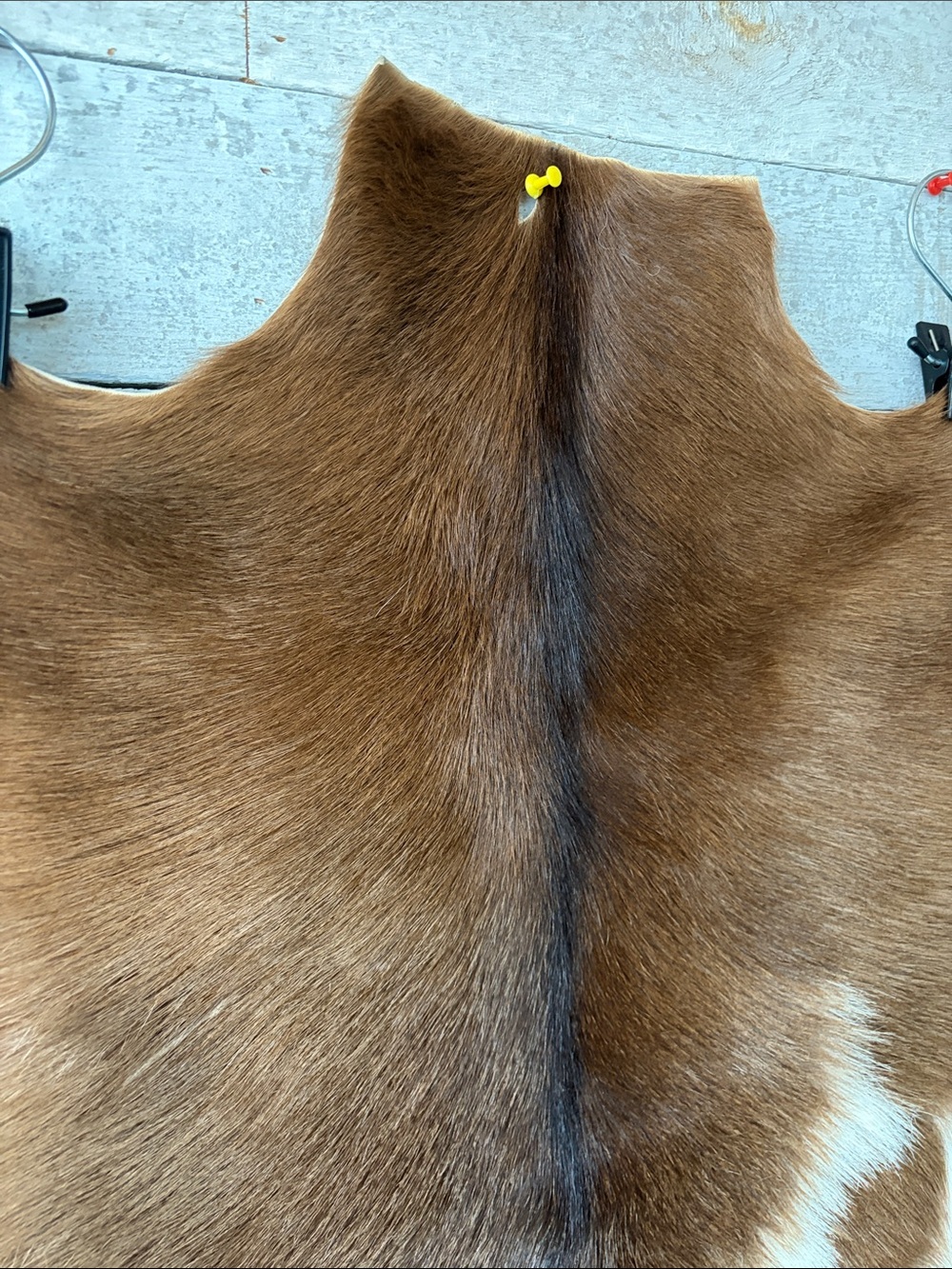 Genuine Goatskin Fur Pelt 33” x 22” Natural Brown & Cream Rustic Hide - Picture 4 of 7